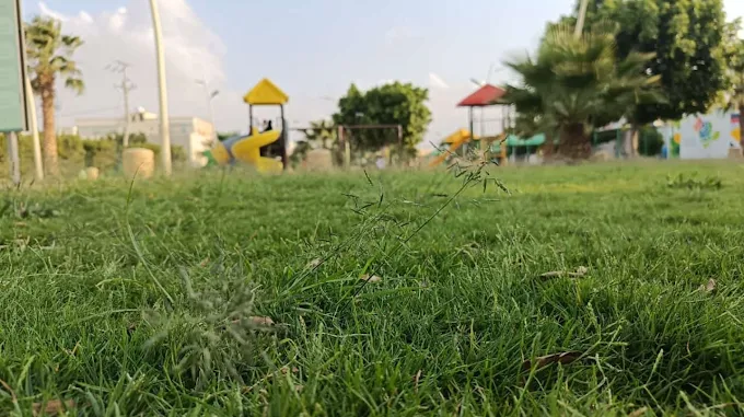 منتزه شائقة