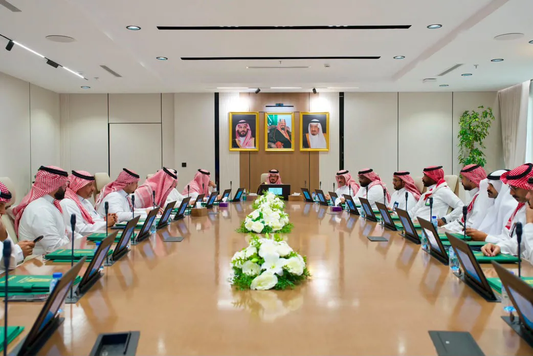 The 52nd Executive Committee Meeting for Visual Pollution Mitigation