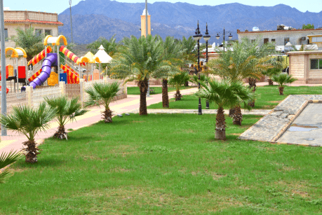 Al Quhaib Scheme Garden Project - Establishing gardens and parks