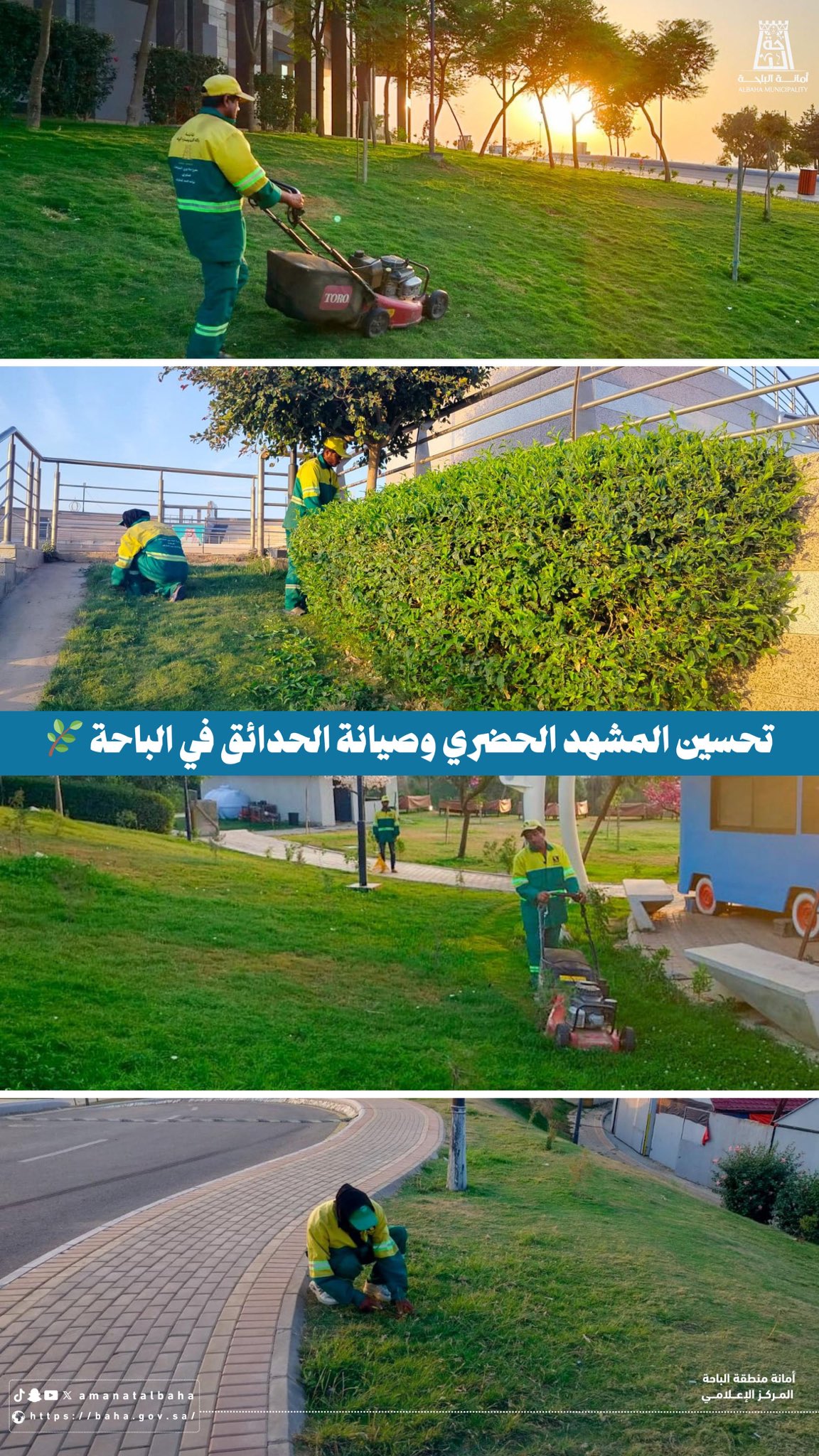Ongoing Efforts to Enhance Parks and Green Spaces 🌳